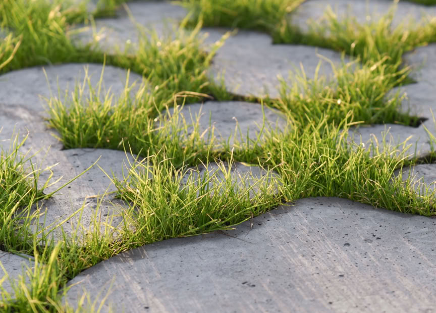 Dalles de béton avec de l'herbe poussant entre les interstices.